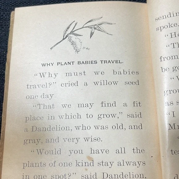 First Edition (1898) “Plant Babies and Their Cradles”, Educational Pub. Co. - Picture 14 of 15